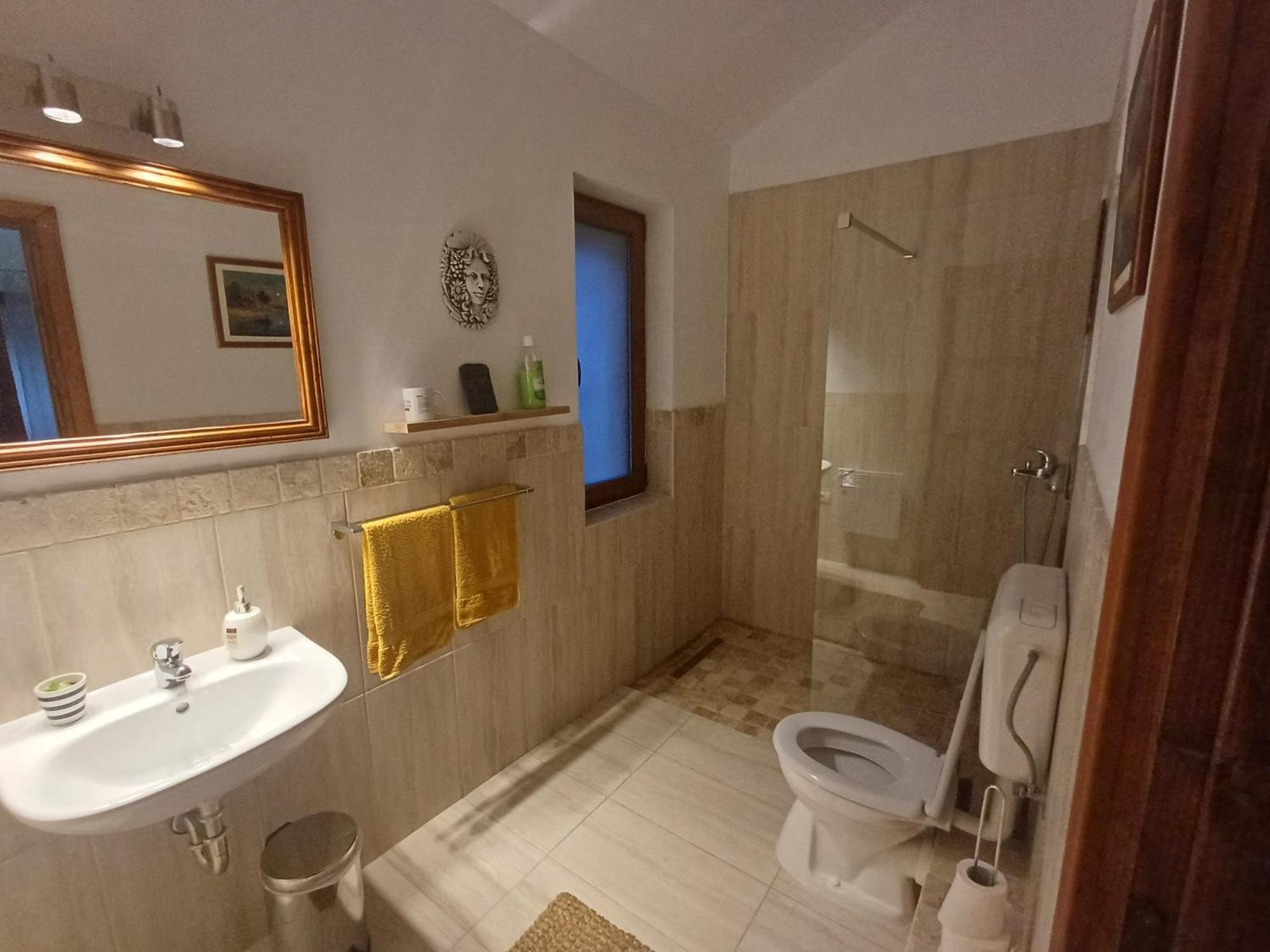 Casa Romana Ieşelniţa المظهر الخارجي الصورة